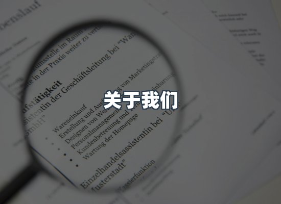 专业团队